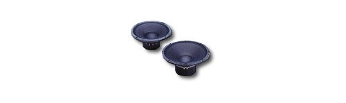 Fostex série W