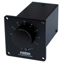 Fostex R100T