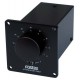 Fostex R100T