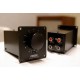 Fostex R100T