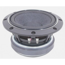 Fostex FW168N