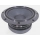 Fostex FW208N